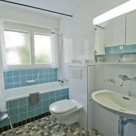 Haus Matten, Birch Apartman